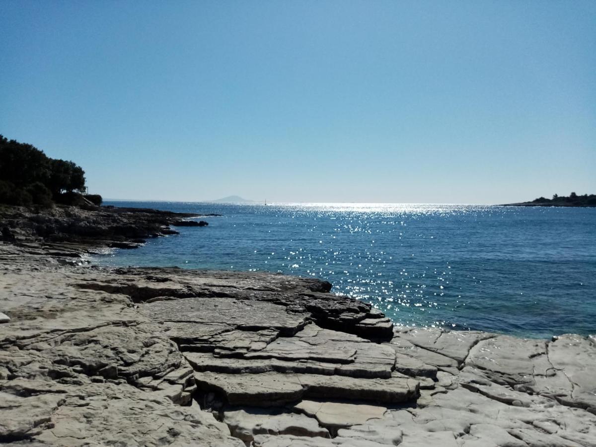 Kuca Za Odmor Dean Villa Pavicini Luaran gambar